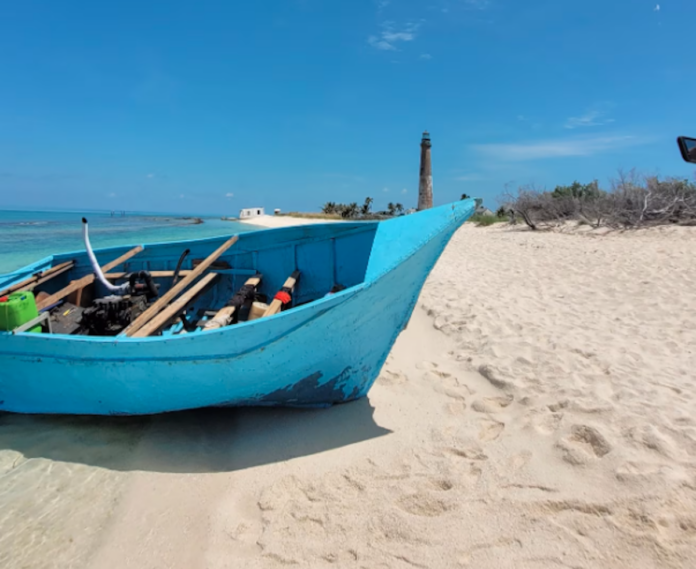 Tortugas migrants