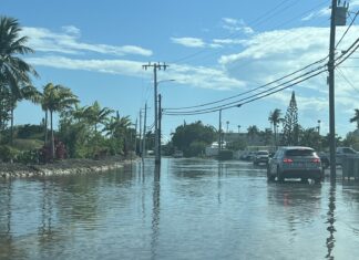 a car driving down a flooded street next to palm trees
