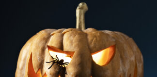 a carved pumpkin with glowing eyes and a spider