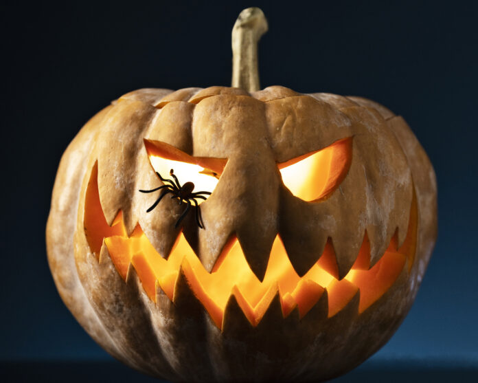 pumpkin carving a carved pumpkin with glowing eyes and a spider