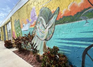 a mural of a fish on the side of a building