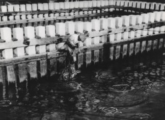 a black and white photo of a row of water troughs