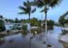 a flooded street with palm trees and a house in the background