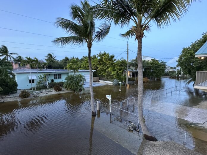 a flooded street with palm trees and a house in the background