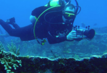 a scuba diver taking a picture of a coral reef