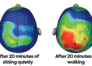 two images of the same size and color of a toilet