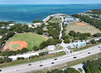 an aerial view of a baseball field near the ocean