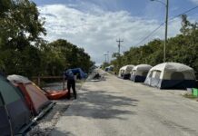 THE ANGLER'S OUTLOOK: MANGROVE MANIA