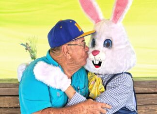 a man in a blue shirt hugging a white bunny