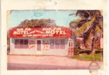 a picture of a motel with a palm tree in the background