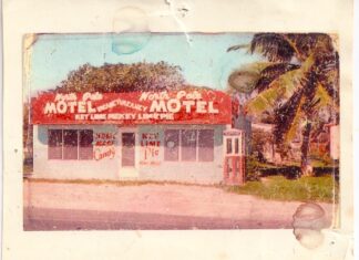 a picture of a motel with a palm tree in the background