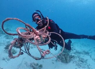 a man in a scuba suit is holding an octopus
