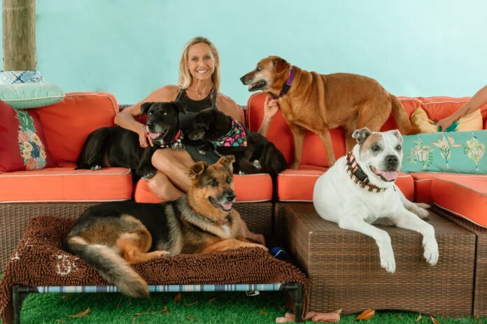 a woman sitting on a couch with three dogs