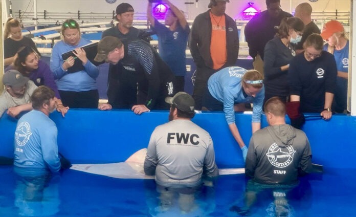 a group of people standing around a blue pool