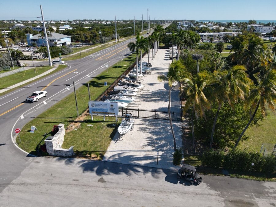 an aerial view of a street with palm trees