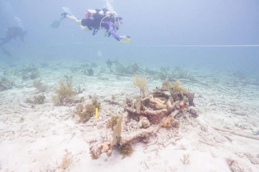 a person scubas over a coral reef in the ocean