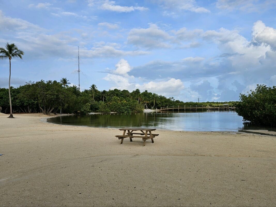 SWIM ADVISORIES ISSUED FOR SEVERAL - Founders Park Large 1068x801