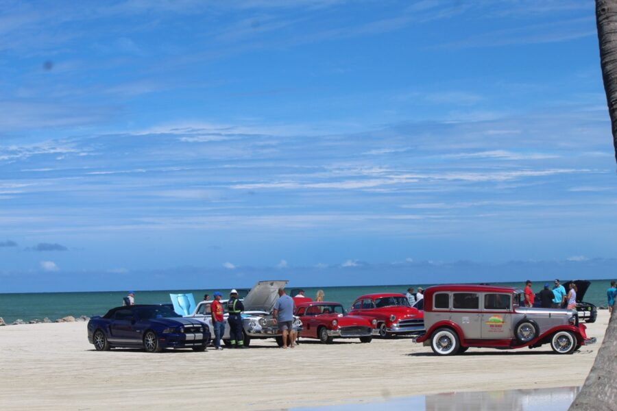 a group of cars parked on a beach next to a palm tree