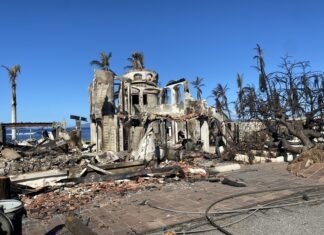 a destroyed building with palm trees in the background