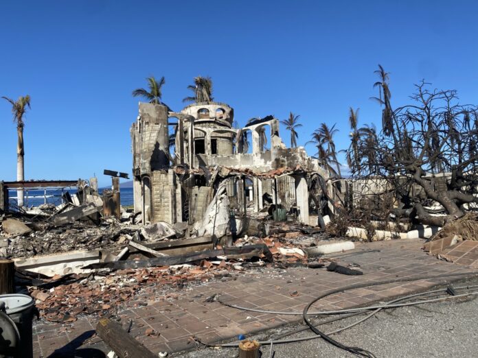 a destroyed building with palm trees in the background