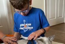 a boy in a blue shirt is petting a white dog