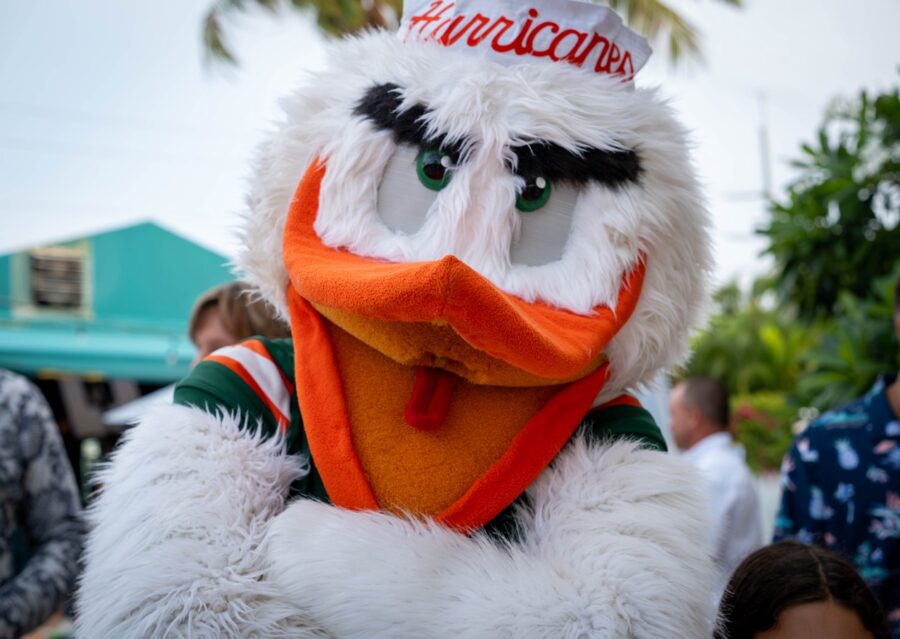a mascot with a hat on his head