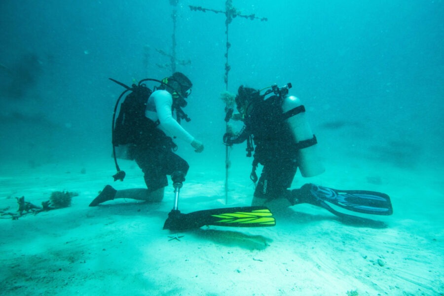 a couple of people that are in the water