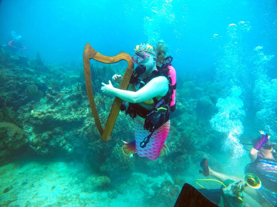 a man playing a harp underwater in the ocean
