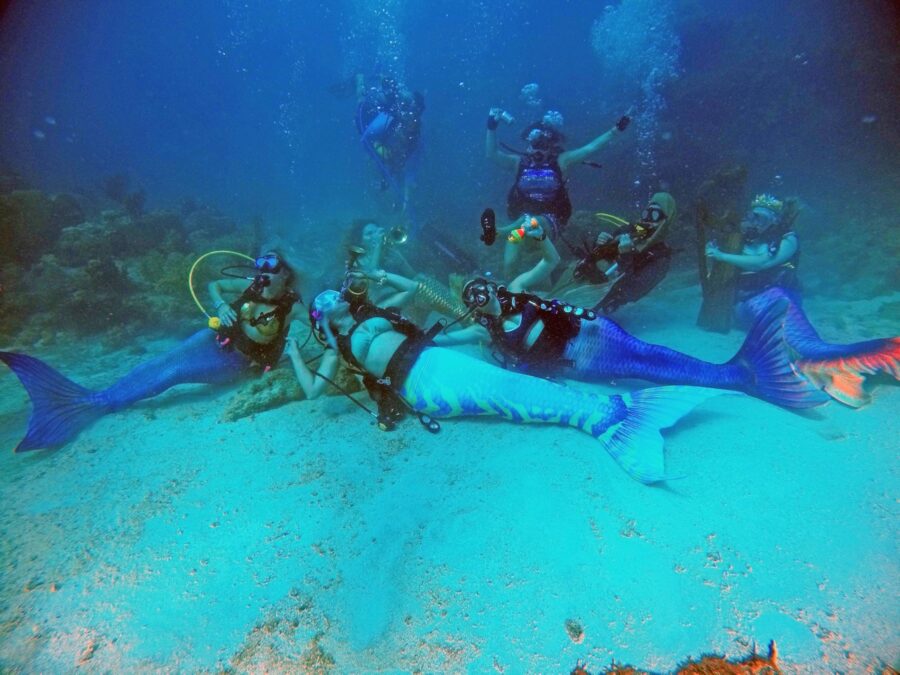 a group of people in scuba gear on the ocean floor