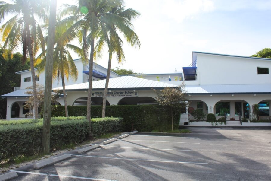 a white building with palm trees in front of it