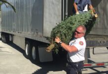 a man holding a christmas tree in front of a truck