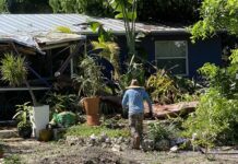 a man standing in a yard next to a house