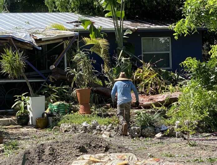 a man standing in a yard next to a house