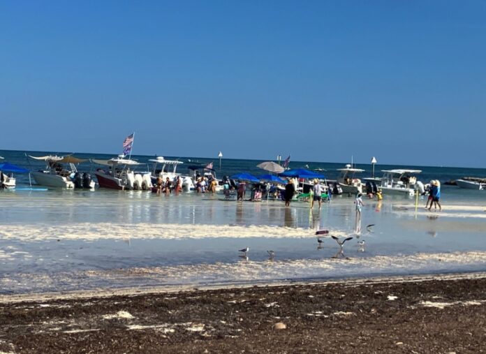 a group of people standing on a beach next to the ocean