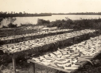 an old photo of a long table with many plates on it