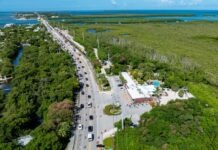 an aerial view of a road and a beach