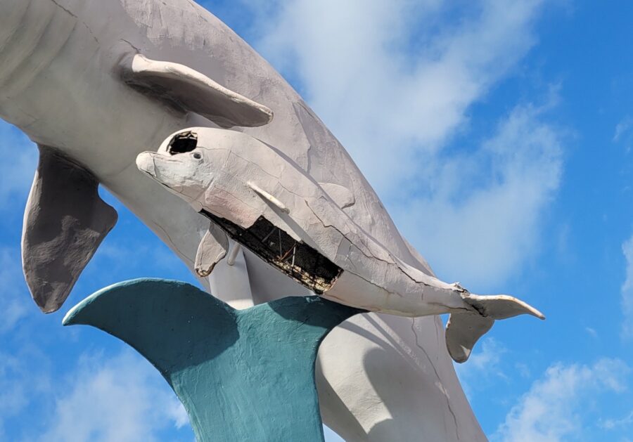 a statue of a dolphin on top of a building