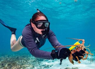 a woman scubas in the ocean with a lobster