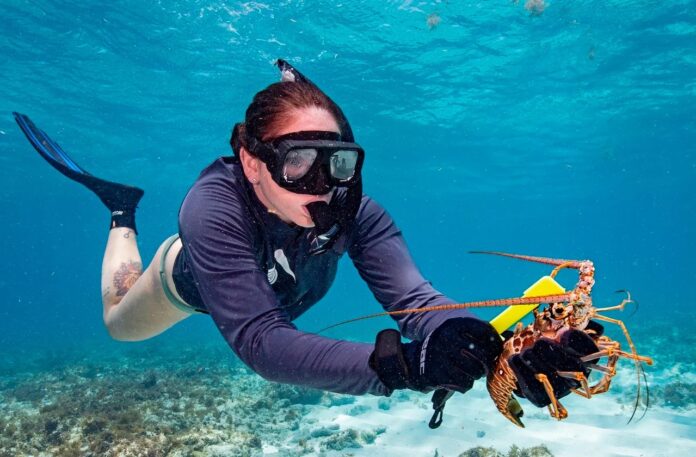 a woman scubas in the ocean with a lobster