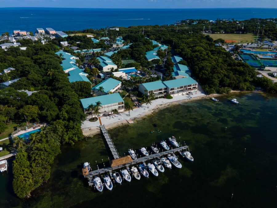 an aerial view of a marina with boats docked