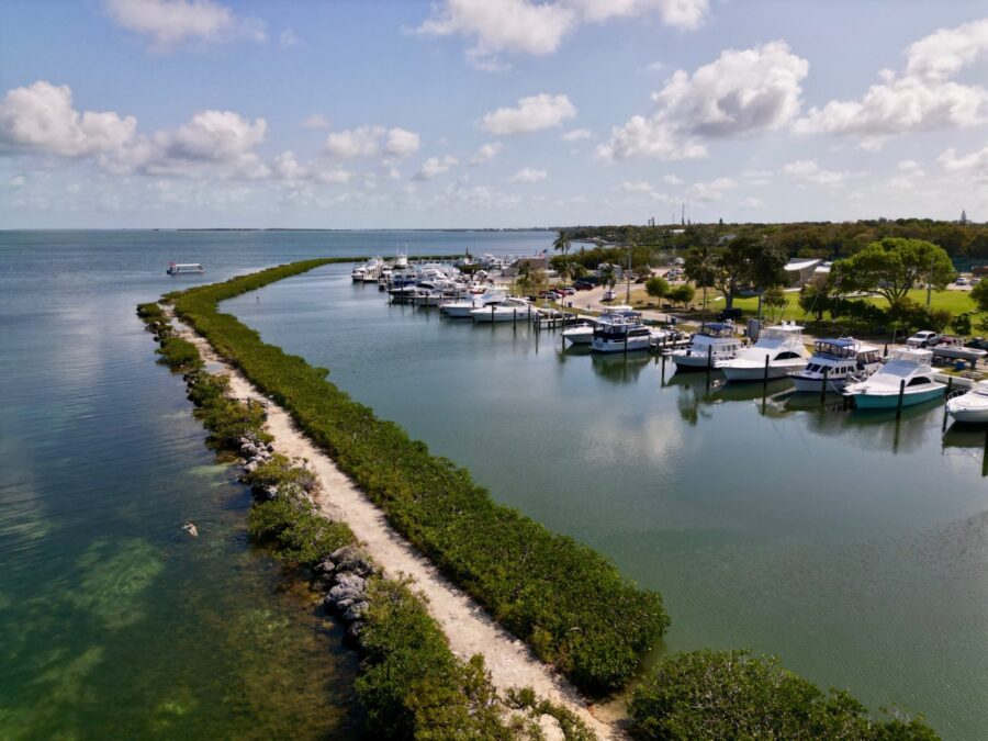 an aerial view of a marina with boats in the water