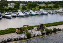 a large body of water filled with lots of boats