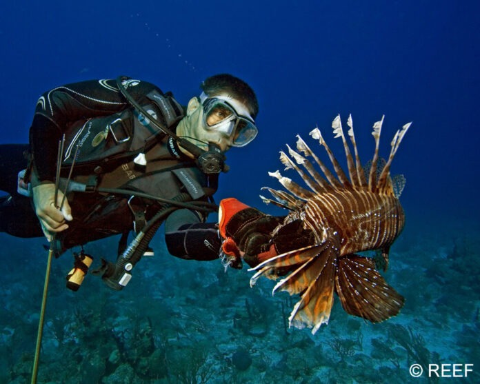 a man in a diving suit holding a fish