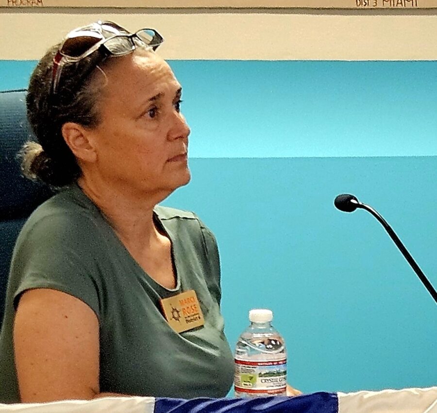 a woman sitting at a table in front of a microphone