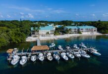 a group of boats docked at a dock