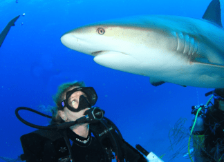 a man in a scuba suit holding a camera in front of a shark