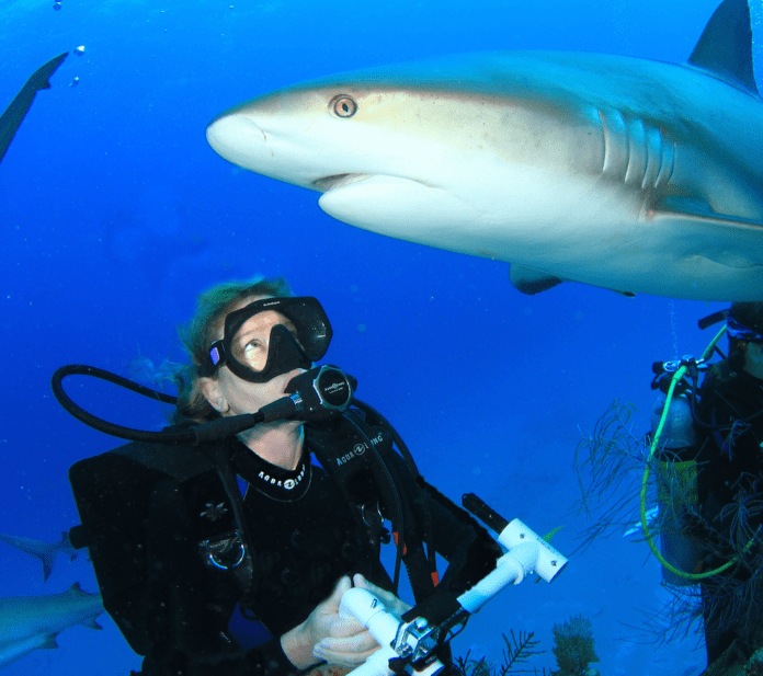 a man in a scuba suit holding a camera in front of a shark