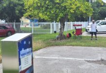 a man standing in a parking lot next to a tree