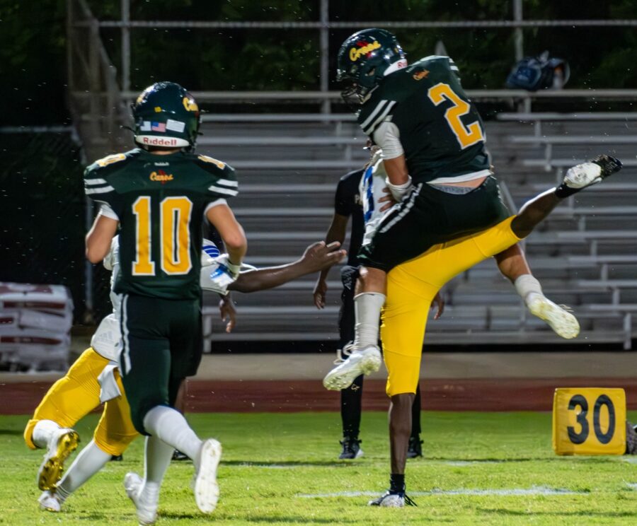 a football player jumping in the air to catch a ball