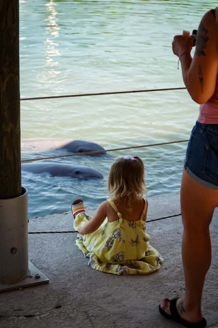 a woman taking a picture of a little girl